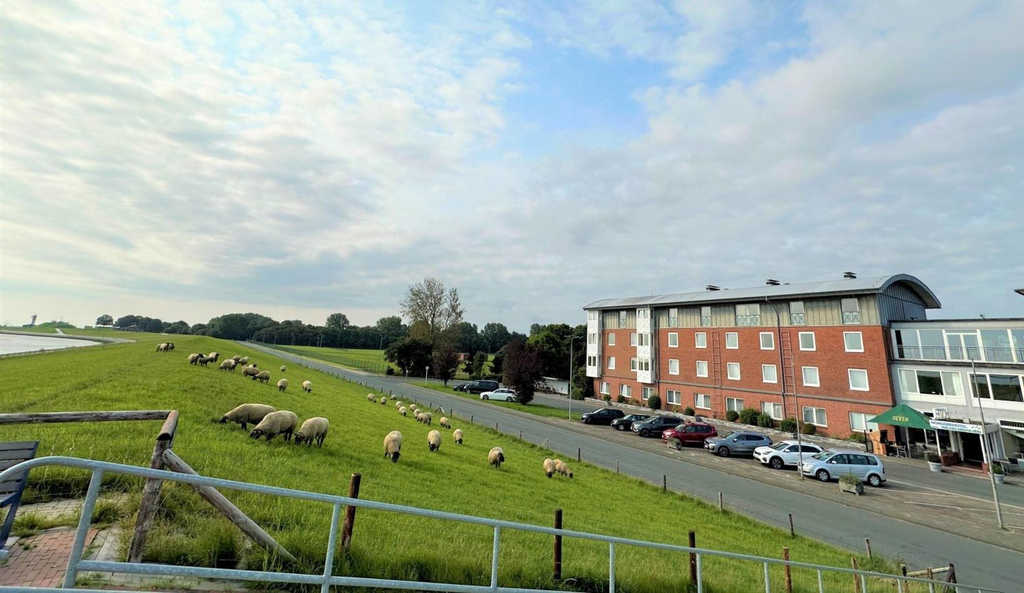 Nordseehotel 4*